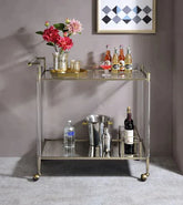 Cirro Antique Mirror & Wire Brass Serving Cart Model AC00160 By ACME Furniture